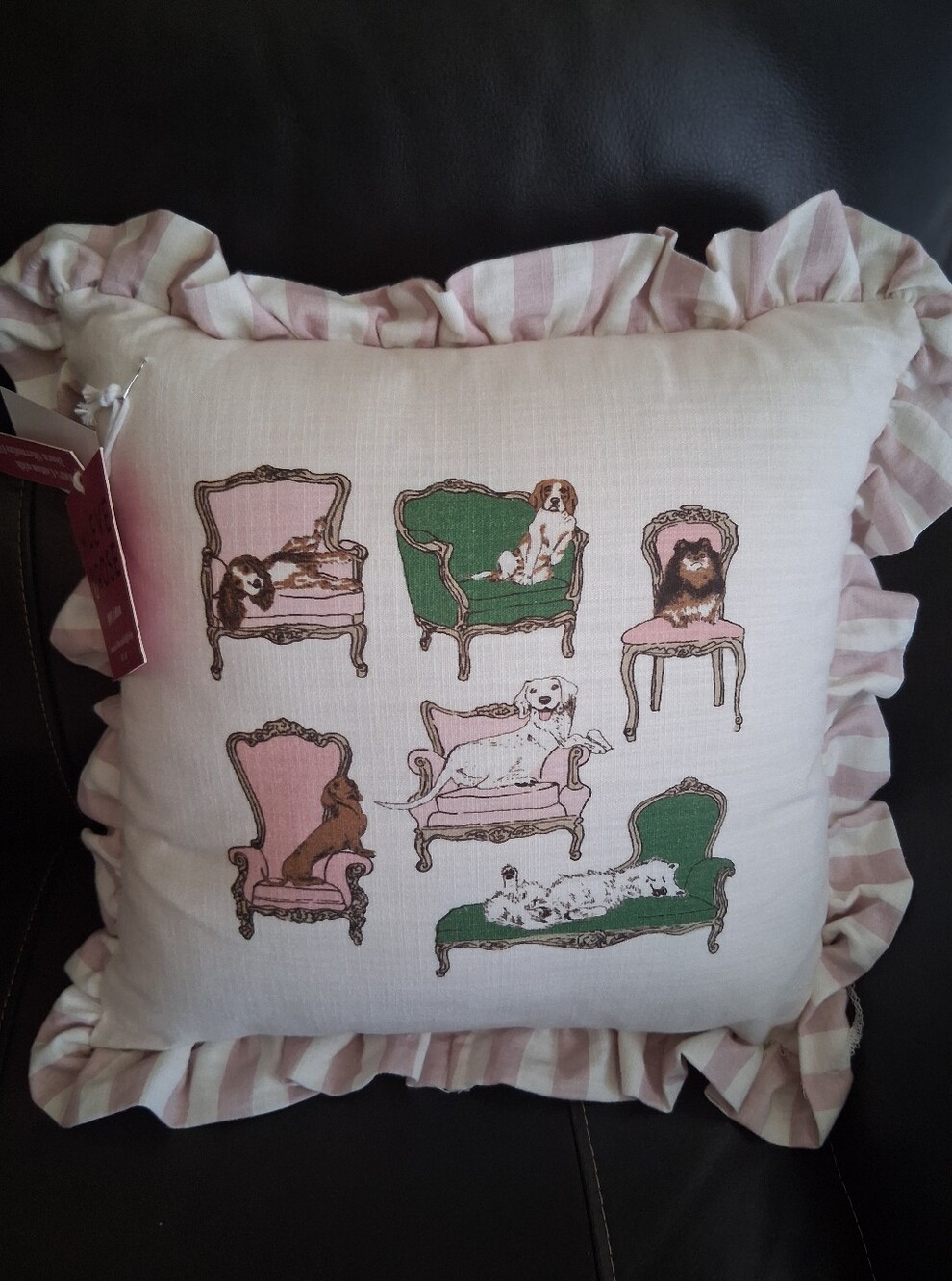 Maeve & RoseDecorative Pink & Green Dog Print Ruffle Throw Pillow - Home Accents
